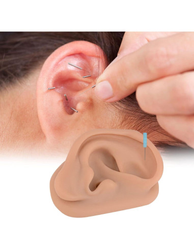 Simulador de Oído de Silicona SimCoach 17.1x11.3cm Acupuntura