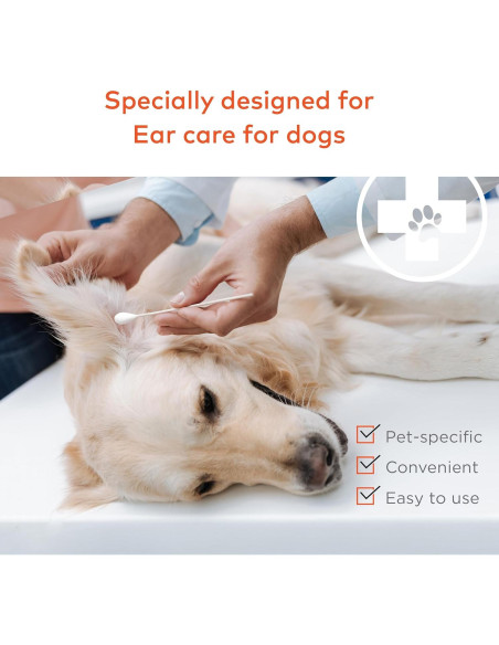 Hisopos de Algodón Extra Grande para Perros y Gatos - 100 Unidades