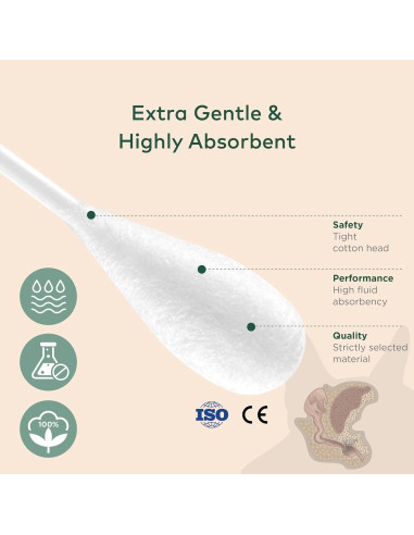 Hisopos de Algodón Extra Grande para Perros y Gatos - 100 Unidades