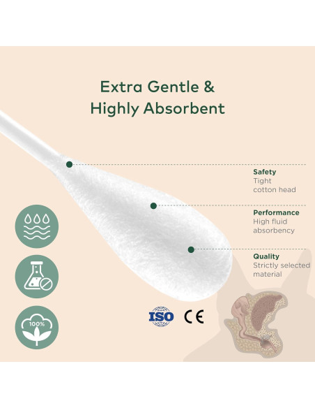 Hisopos de Algodón Extra Grande para Perros y Gatos - 100 Unidades