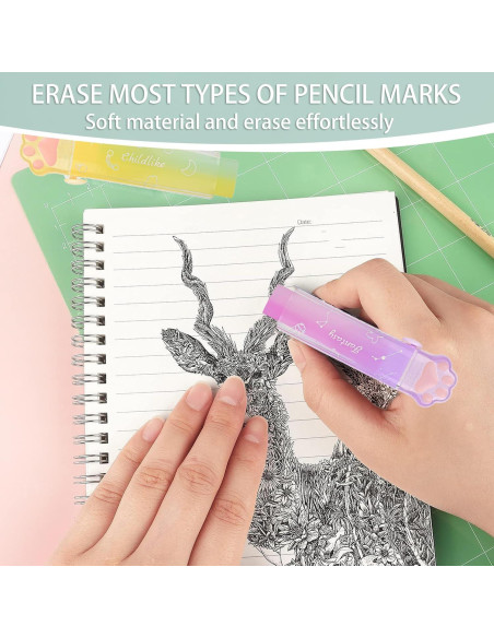 Borradores Retráctiles Kawaii PANDENNER - 4 Piezas Gradiente