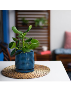 Maceta de Cerámica D'vine Dev 10.16 cm Azul Medianoche con Platillo 2