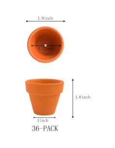 36 Macetas de Terracota Pequeñas 5.08 cm con Drenaje Fcacti 2