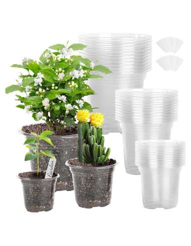 Macetero de Plástico Transparente LOCONHA 5" (Paquete 36)