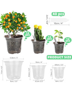 Macetero de Plástico Transparente LOCONHA 5" (Paquete 36) 2