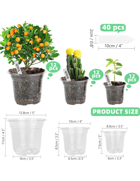 Macetero de Plástico Transparente LOCONHA 5" (Paquete 36)