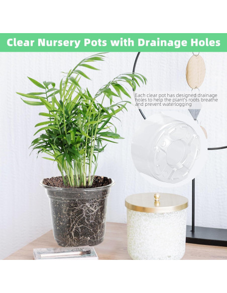 Macetero de Plástico Transparente LOCONHA 5" (Paquete 36)