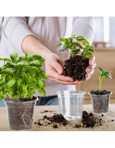 Macetero de Plástico Transparente LOCONHA 5" (Paquete 36)