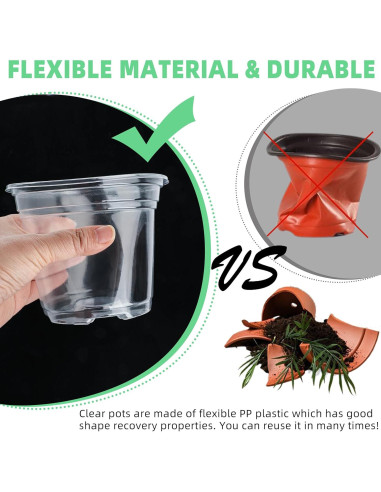 Macetero de Plástico Transparente LOCONHA 5" (Paquete 36)