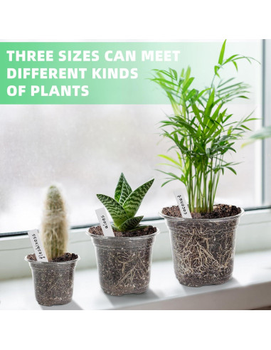 Macetero de Plástico Transparente LOCONHA 5" (Paquete 36)