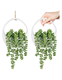 Plantas Colgantes Falsas Der Rose - 2 Paquetes Suculentas 17.2 cm