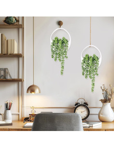 Plantas Colgantes Falsas Der Rose - 2 Paquetes Suculentas 17.2 cm 2