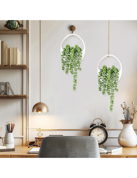 Plantas Colgantes Falsas Der Rose - 2 Paquetes Suculentas 17.2 cm