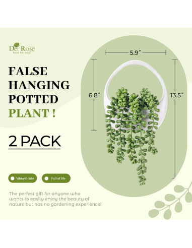 Plantas Colgantes Falsas Der Rose - 2 Paquetes Suculentas 17.2 cm