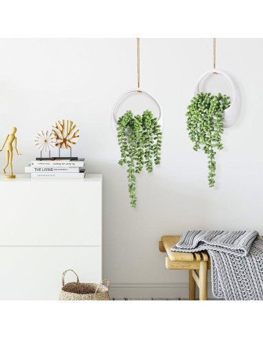 Plantas Colgantes Falsas Der Rose - 2 Paquetes Suculentas 17.2 cm