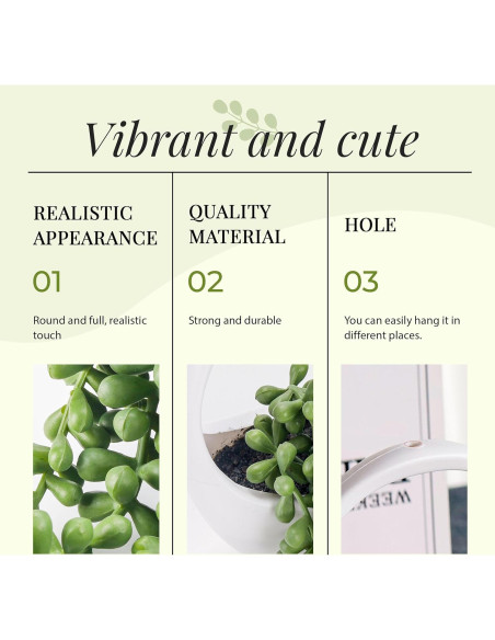 Plantas Colgantes Falsas Der Rose - 2 Paquetes Suculentas 17.2 cm