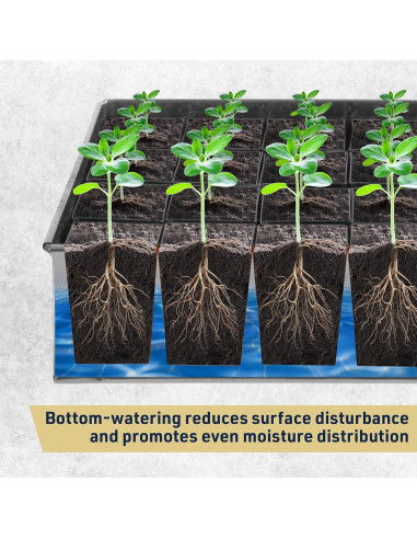 Bandeja de Germinación de Semillas Kings County Tools 24 Macetas