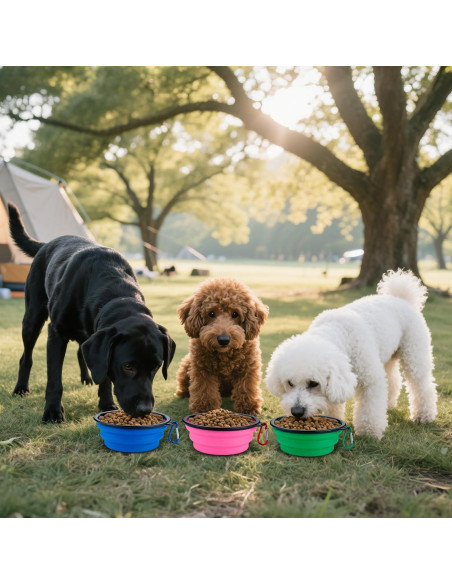 Paquete de 3 Cuencos Plegables para Perros HUVOQ 22oz