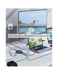 Divisor Ethernet 1 a 4 LIEZHUA con Cable LAN Cat 6 1000Mbps 2