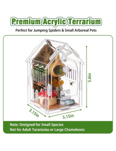 Terrario Acrílico WEIKEJINA para Arañas Saltarinas 8x8x14cm 2