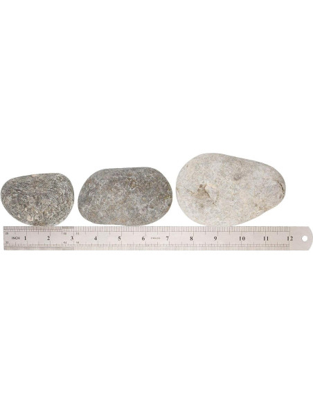 20 Pcs Piedras de Río Pintables LANIAKEA 7.6-12.7 cm