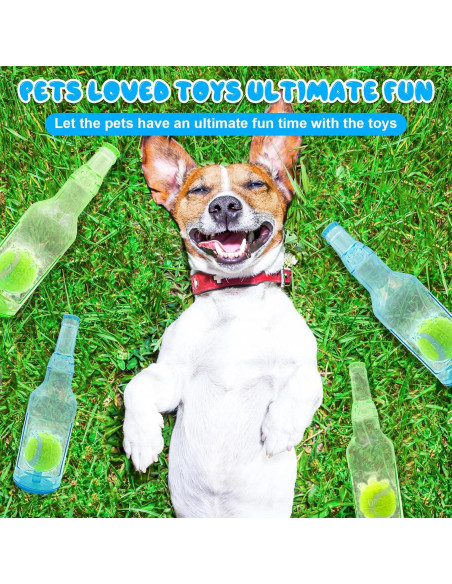 Juguetes para Perros Aerbee 2 Pcs Botella Crunchnplay 24.5 cm