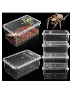 Terrario para Arañas Saltadoras Harhana - Paquete de 6 Mini