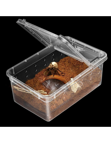 Terrario para Arañas Saltadoras Harhana - Paquete de 6 Mini