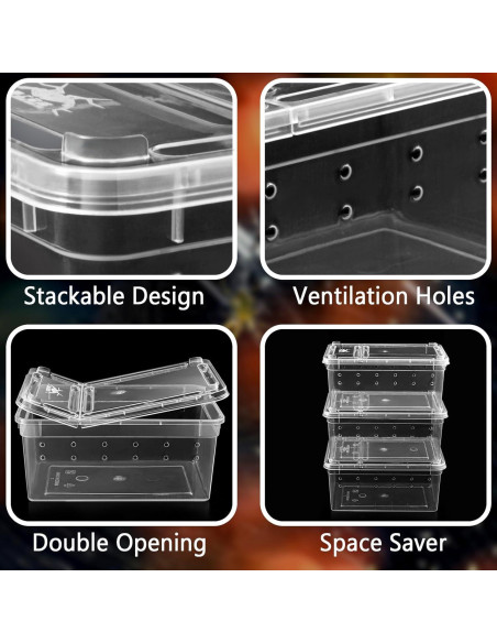 Terrario para Arañas Saltadoras Harhana - Paquete de 6 Mini