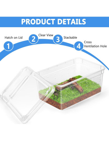 Terrario para Arañas Saltadoras Harhana - Paquete de 6 Mini