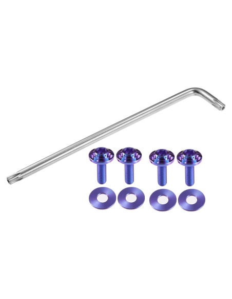 Tornillos Antirrobo para Placas de Licencia Partuto M6