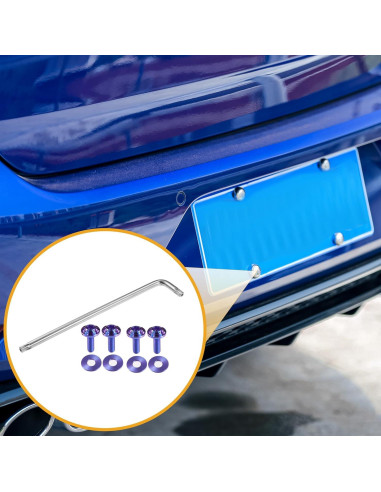 Tornillos Antirrobo para Placas de Licencia Partuto M6