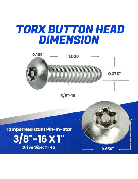 Tornillos de Seguridad Torx Fastenere 3/8-16 x 2.54 cm Acero Inoxidable