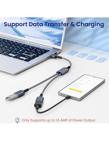 Divisor USB Itramax 1FT Doble Puerto Adaptador Gris