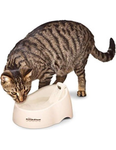 Fuente de Agua Fresh Flow Deluxe Petmate 1.42 L Lino Blanqueado 2