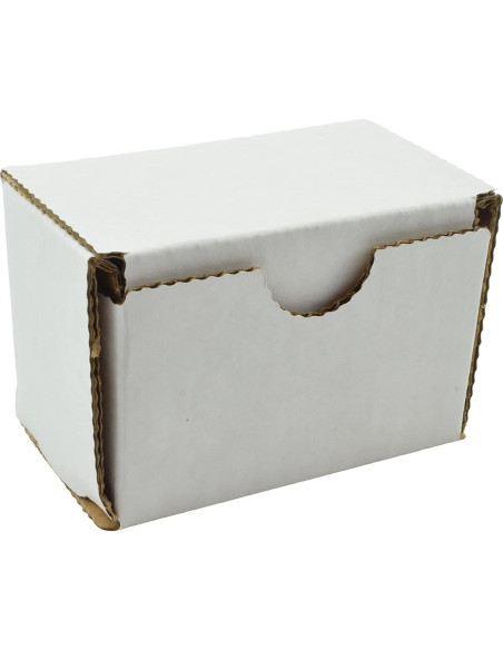 Coche Slot Auto World 1967 Shelby GT 500 Escala HO 7,62 cm