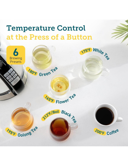 Hervidor Eléctrico COSORI 1.7L con Control de Temperatura