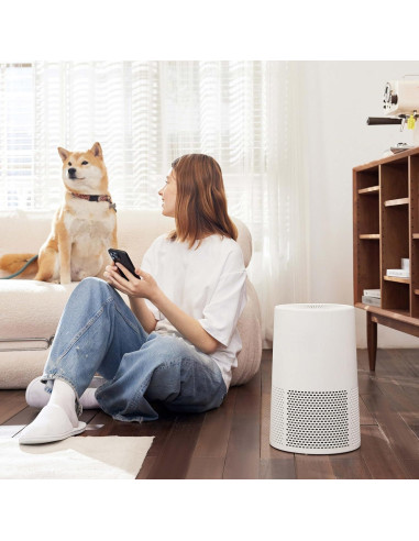 Purificador de Aire Amazon Basics AC2224A 3 Etapas 99 m