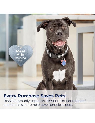 Aspiradora Vertical Bissell CleanView Compacta 3.63 kg