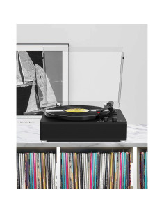 Reproductor de Vinilo DANFI AUDIO TE-3008 Bluetooth 3 Velocidades 2