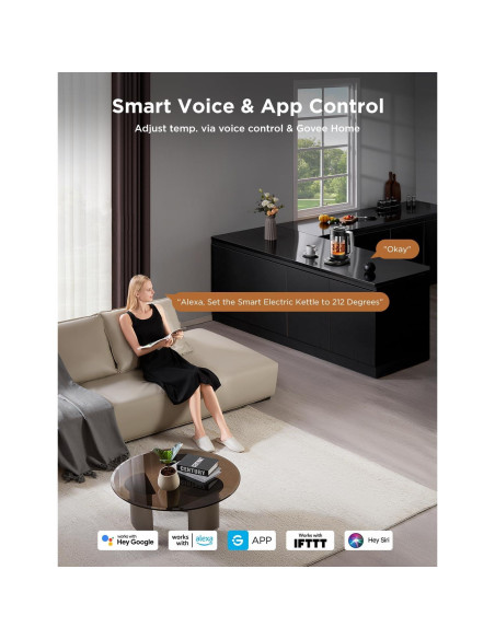 Hervidor Eléctrico GoveeLife H717A 1.7L con Infusor