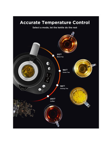 Hervidor Eléctrico GoveeLife H717A 1.7L con Infusor