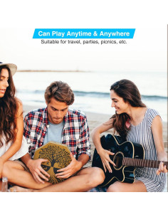 Cajón Bicolor POGOLAB de Madera Portátil 1.08kg 2