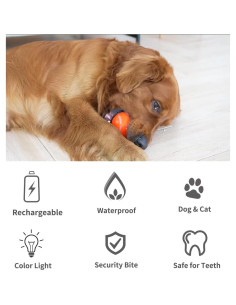 Pelota Interactiva para Perros NETRCO 8 cm Recargable USB 2