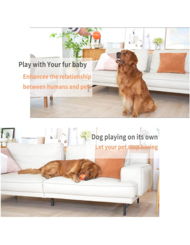 Pelota Interactiva para Perros NETRCO 8 cm Recargable USB