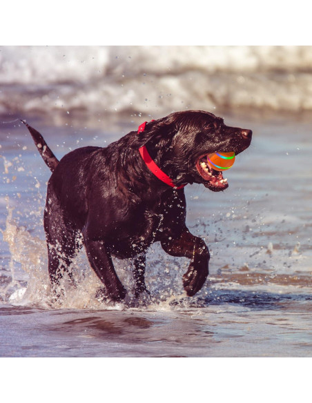 Pelota Interactiva para Perros NETRCO 8 cm Recargable USB