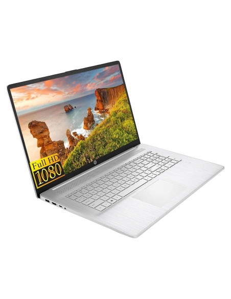 Portátil HP 17.3" FHD Ryzen 5 16GB RAM 1TB SSD Plata