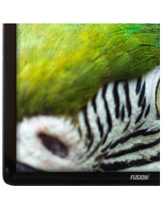 Tablet Fusion5 F202_8G 10.1" Android 13, 8GB RAM, 128GB 2