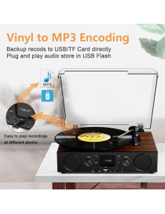 Reproductor de Vinilo DANFI AUDIO TE-103 Bluetooth 3 Velocidades 2