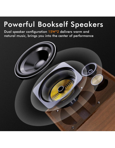 Reproductor de Vinilo TANLANIN TE-2028-TAN Bluetooth 33/45/78 RPM